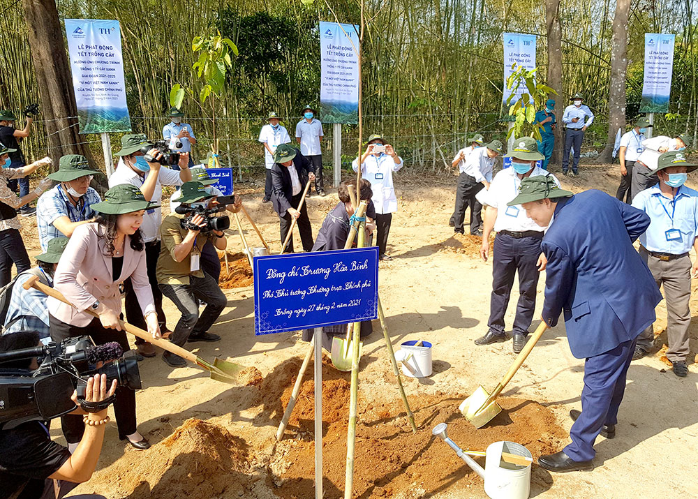 Mùa xuân là Tết trồng cây