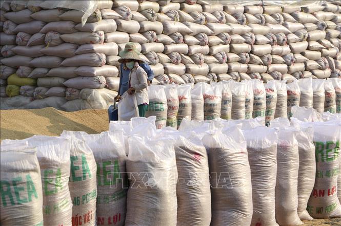 Bảo đảm công bằng trong đấu thầu mua gạo dự trữ quốc gia
