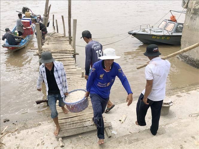 Ngư dân trúng đậm mùa ruốc đầu năm