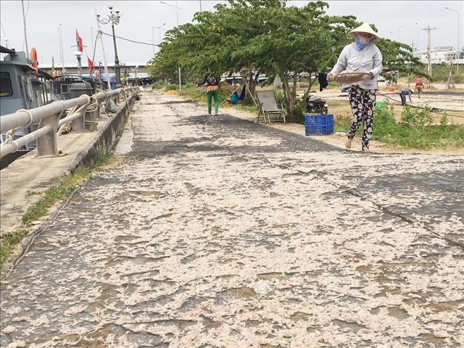 Ngư dân trúng đậm mùa ruốc đầu năm