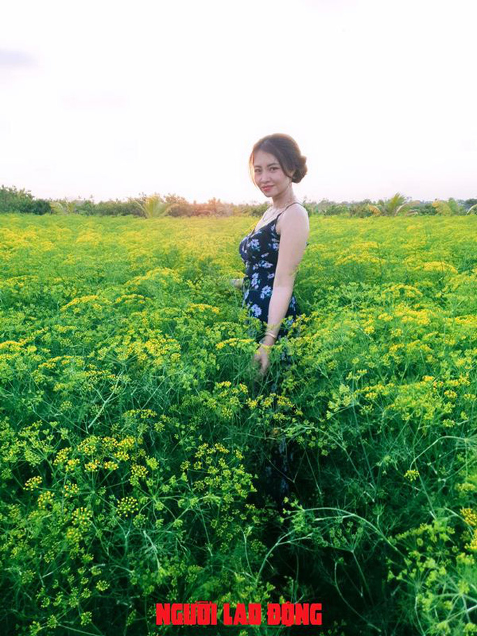 Ngỡ ngàng những cánh đồng hoa thì là tuyệt đẹp ở Bạc Liêu