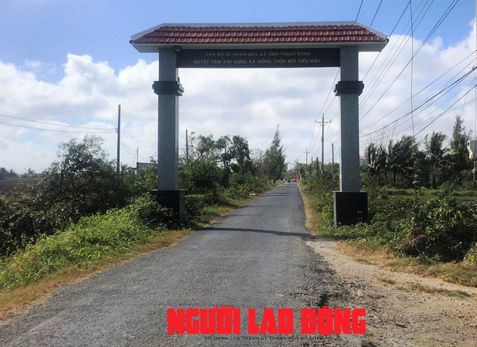 Ngỡ ngàng những cánh đồng hoa thì là tuyệt đẹp ở Bạc Liêu