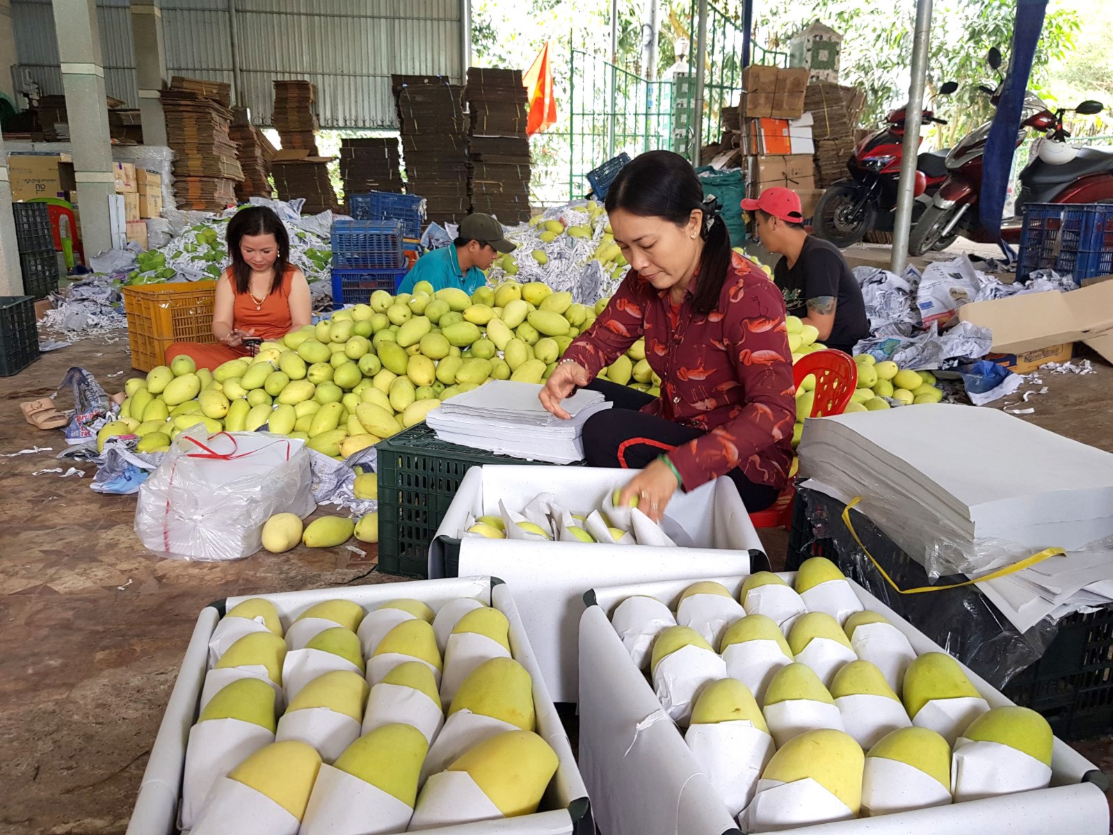 Chợ Mới quyết tâm phát triển kinh tế - xã hội, thực hiện thắng lợi nghị quyết năm 2021