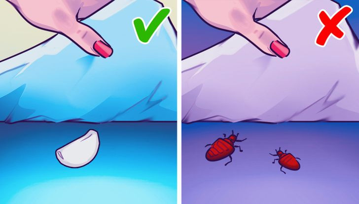 Lý do một số người đặt tỏi dưới gối