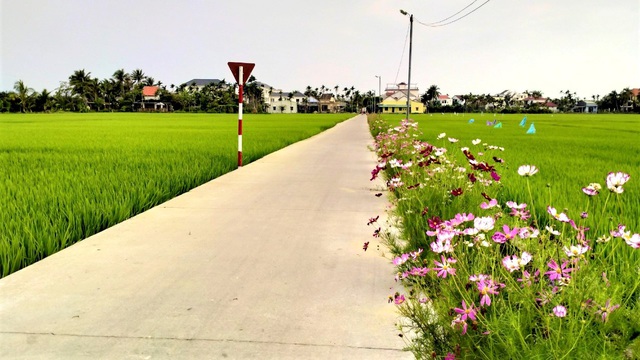 Khách Tây thích thú trải nghiệm "cưỡi trâu", làm nông dân ở Hội An