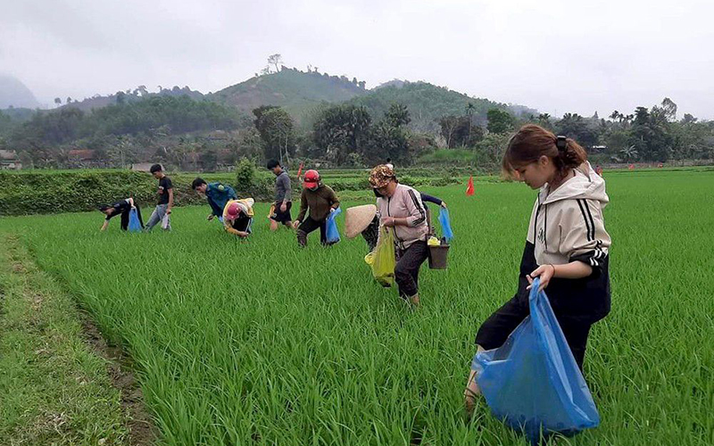 Hạn mặn, dịch bệnh gây nhiều thiệt hại