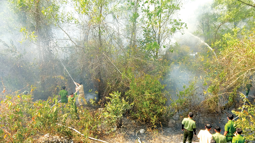 An Giang: Bảo vệ rừng mùa nắng nóng