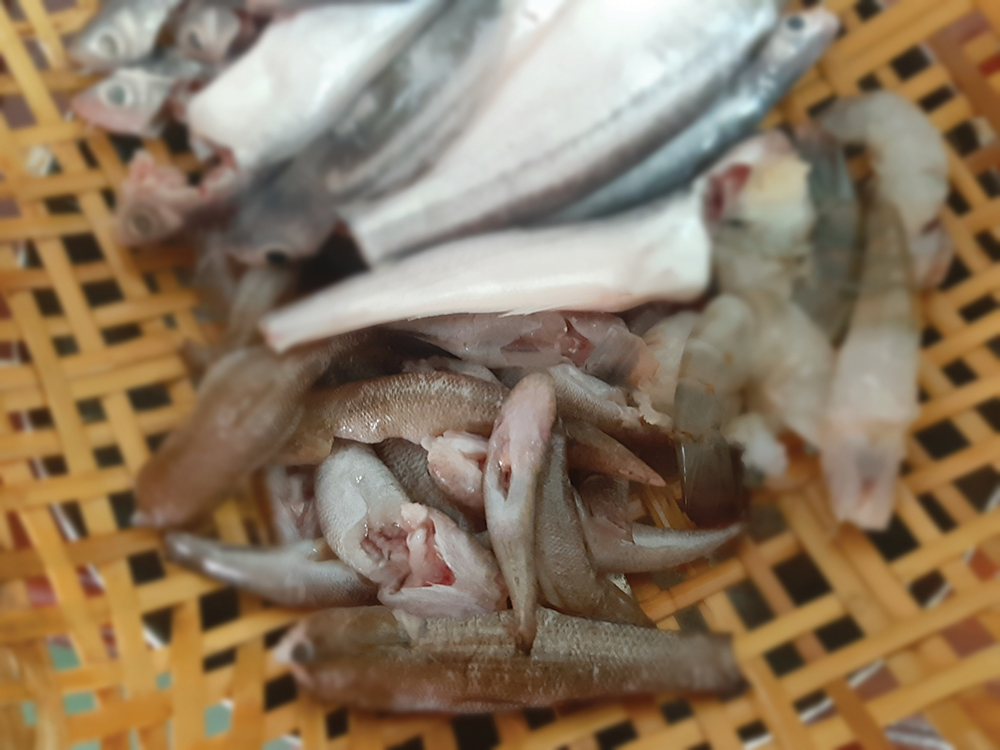 Nhớ vị cá hủn hỉn chiều quê!