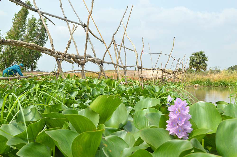 Một ngày ở chốt phòng, chống dịch Covid-19 mùa nắng đổ