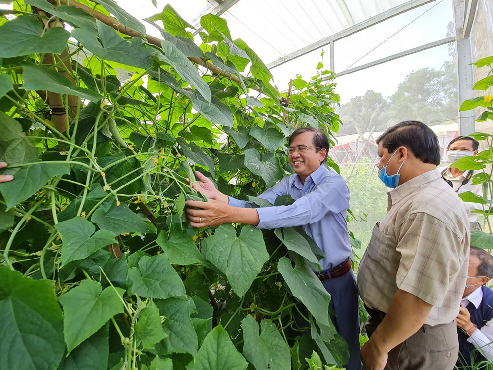 Khánh thành hệ thống điện mặt trời kết hợp sản xuất nông nghiệp