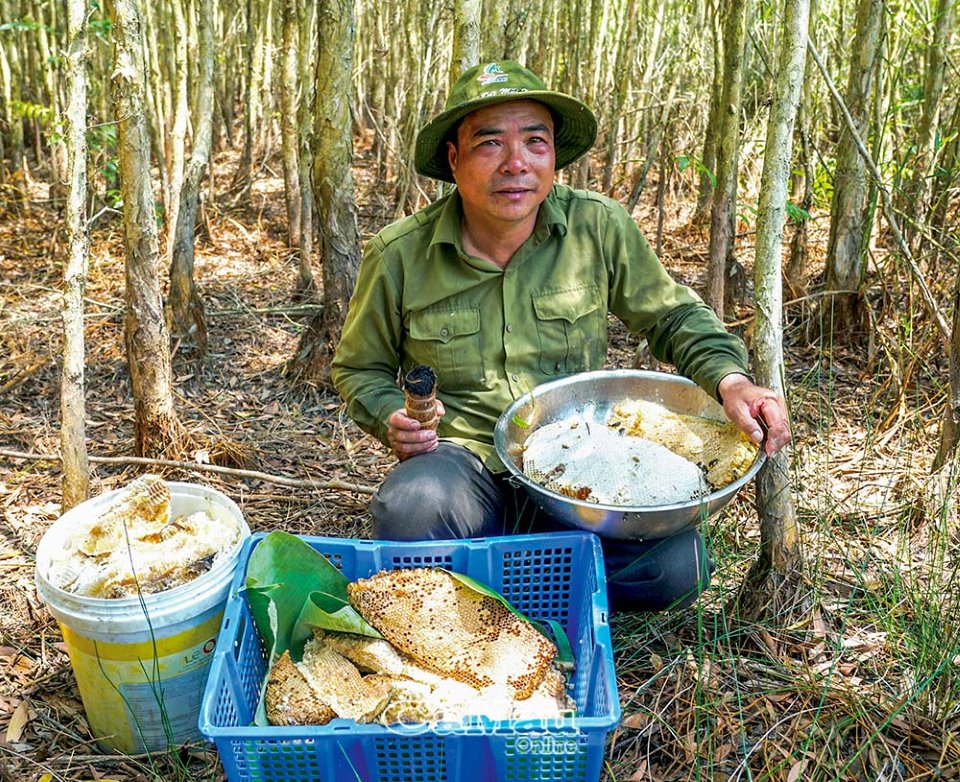 Mắm ong U Minh