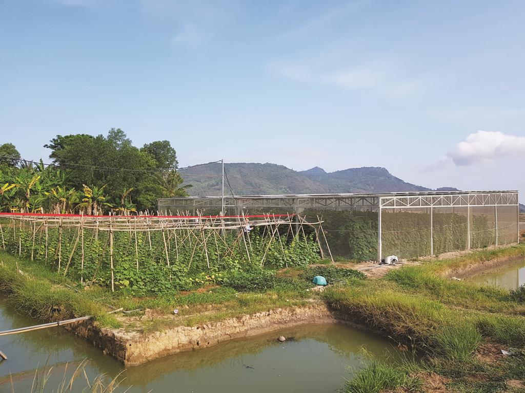 An Giang: Sáng tạo giúp hộ Khmer thoát nghèo
