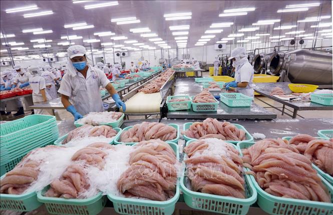 Ngân hàng kỳ vọng lợi nhuận tăng dù COVID-19 kéo dài