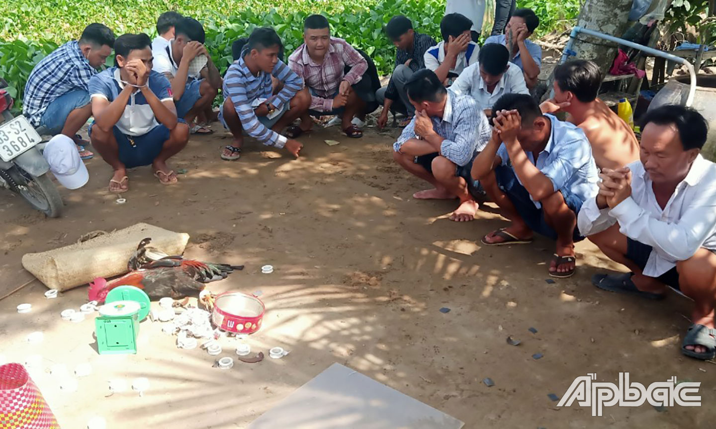 Triệt phá tụ điểm đá gà giữa cánh đồng lúa