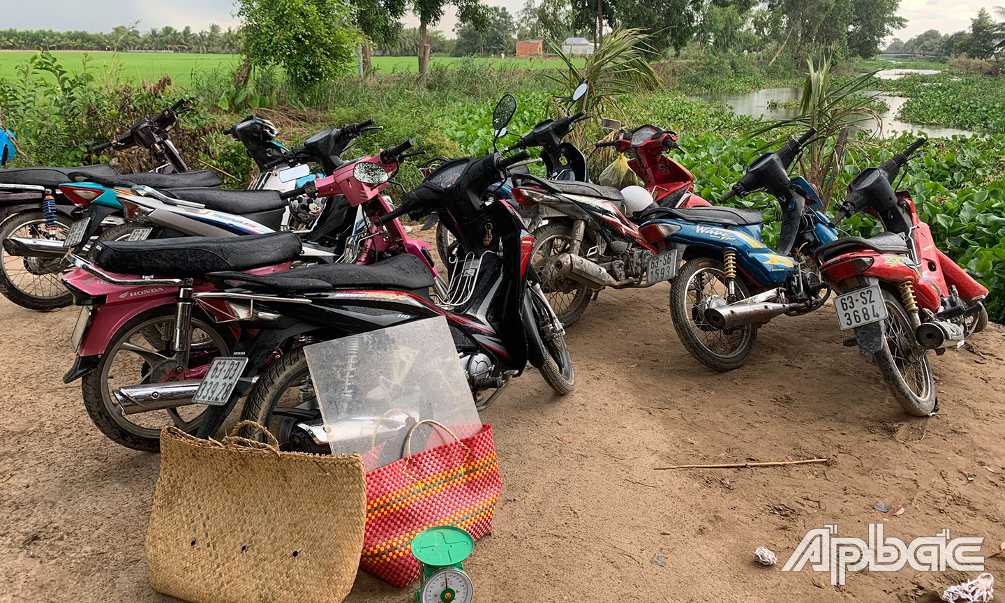 Triệt phá tụ điểm đá gà giữa cánh đồng lúa