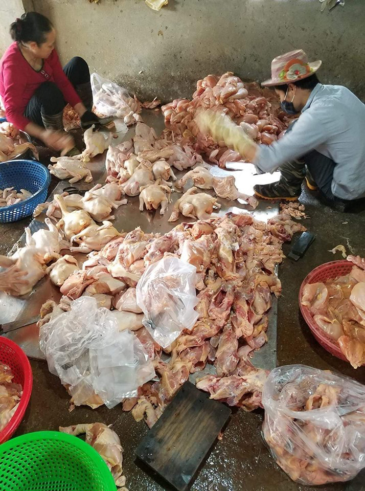Giá gà, vịt liên tục biến động, riêng loài vịt này bán giá cao vẫn "cháy hàng"