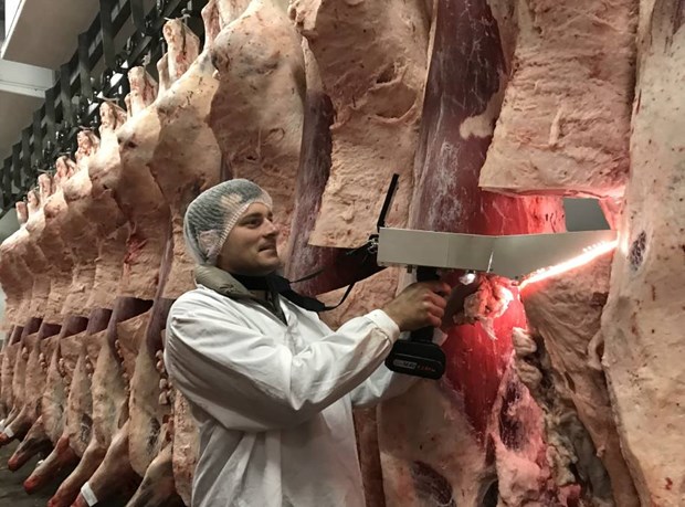 Nhật Bản nhân rộng công nghệ đánh giá thịt bò wagyu sử dụng AI