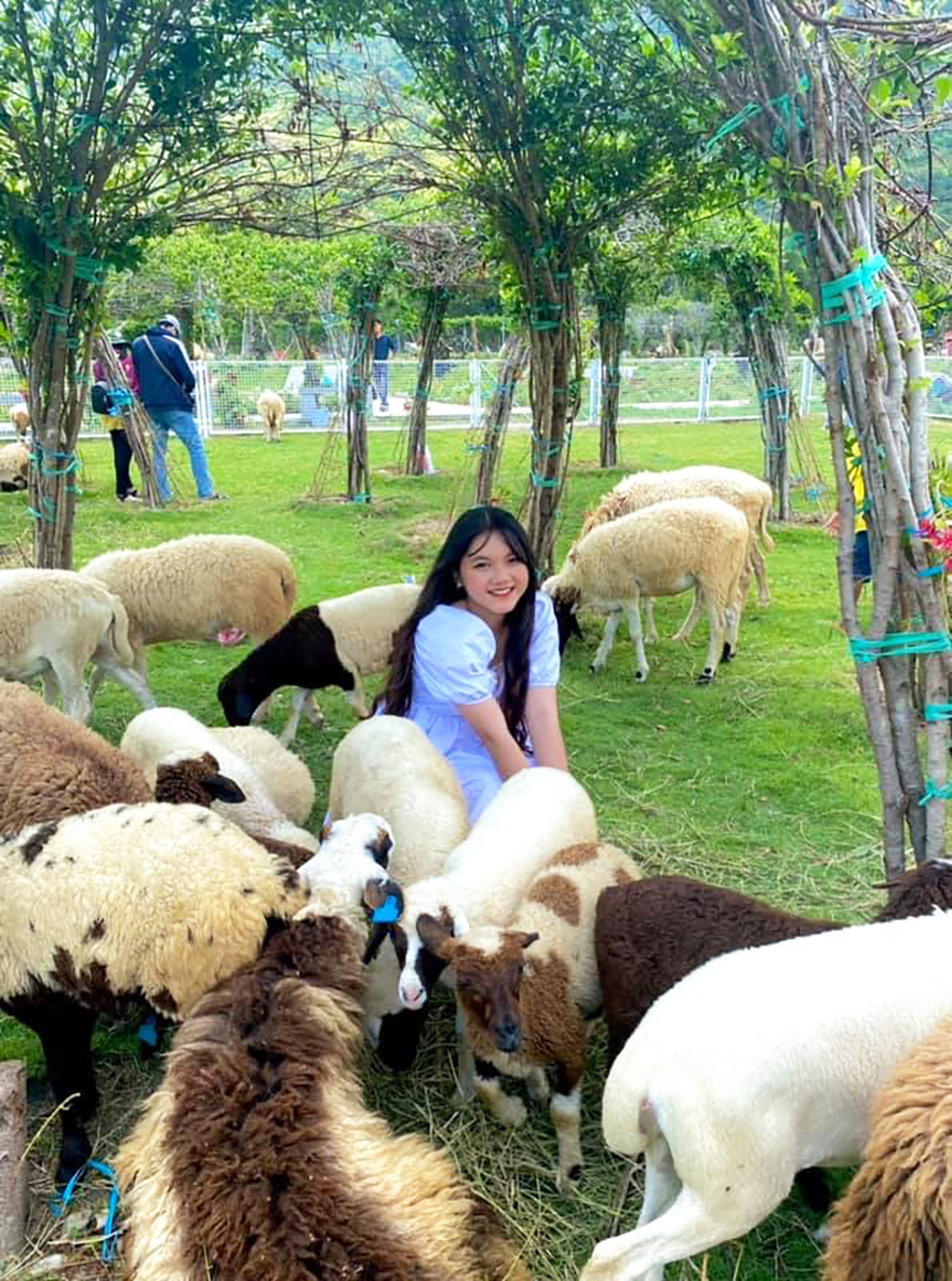 Lên miền Tiên cảnh nhân gian