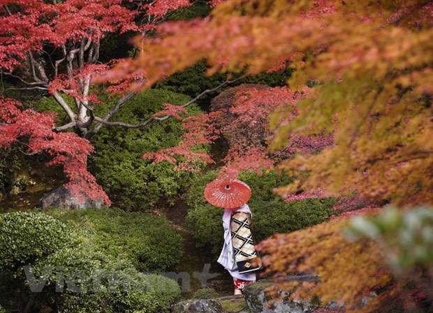 Sự duyên dáng của những geisha tập sự qua ống kính nhiếp ảnh gia Pháp