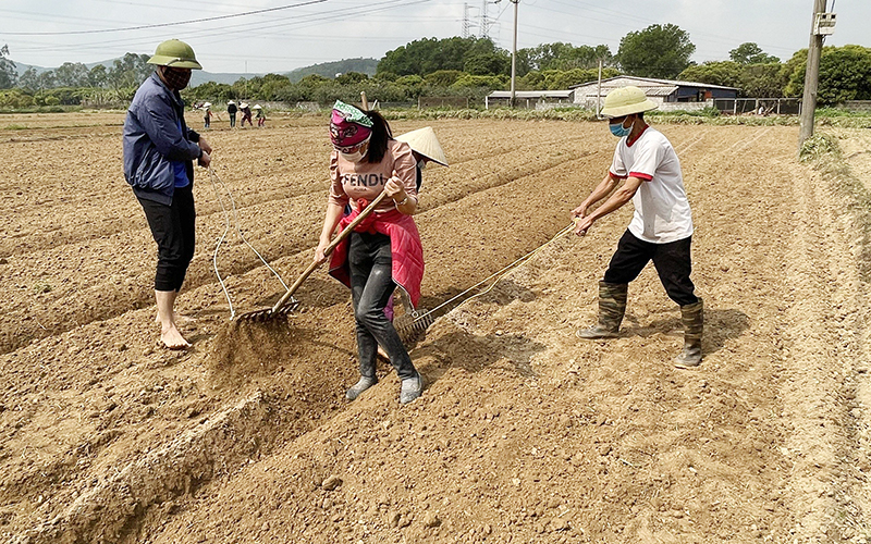 Hải Dương khẩn trương khôi phục sản xuất
