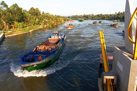 Vĩnh Long: Mở cống xuyên suốt vì độ mặn đã giảm sâu