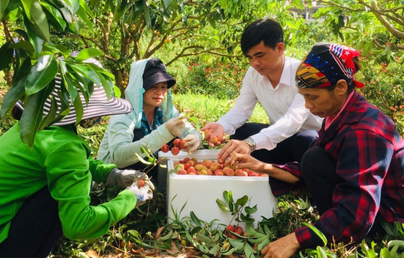 Thúc đẩy tiêu thụ nông sản trong mùa dịch Covid-19