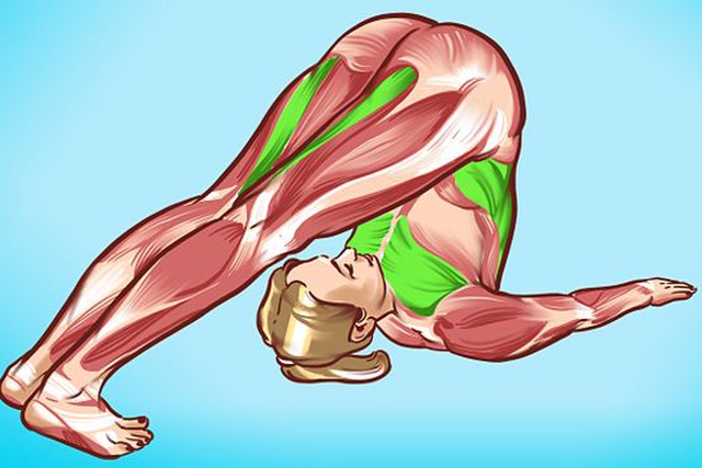 4 bài tập đơn giản giúp gan của bạn hoạt động hiệu quả hơn