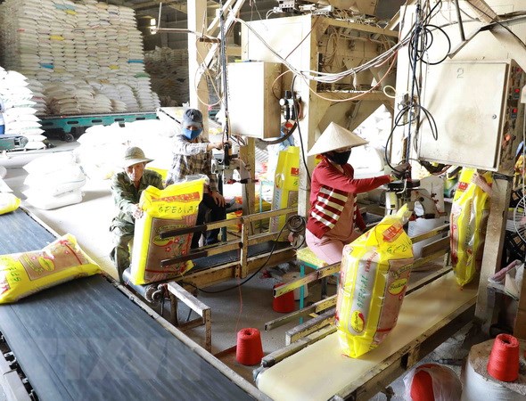 Thị trường nông sản trong nước tuần qua: Giá cà phê tiếp tục giảm