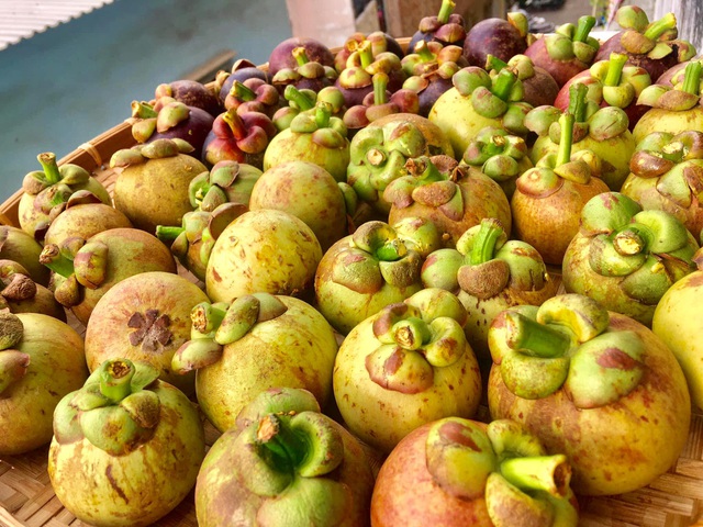 Đặc sản măng cụt xanh "đi máy bay", giá nửa triệu đồng/kg vẫn "hút" khách