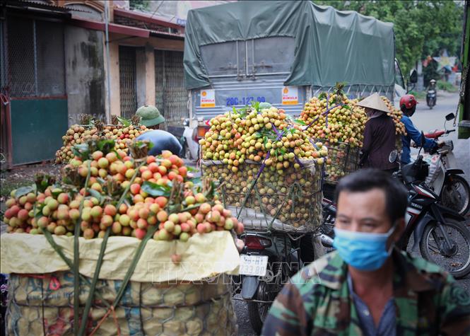 Tổng cục Quản lý thị trường triển khai kế hoạch hỗ trợ tiêu thụ nông sản