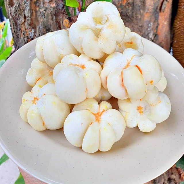 Đặc sản măng cụt xanh "đi máy bay", giá nửa triệu đồng/kg vẫn "hút" khách