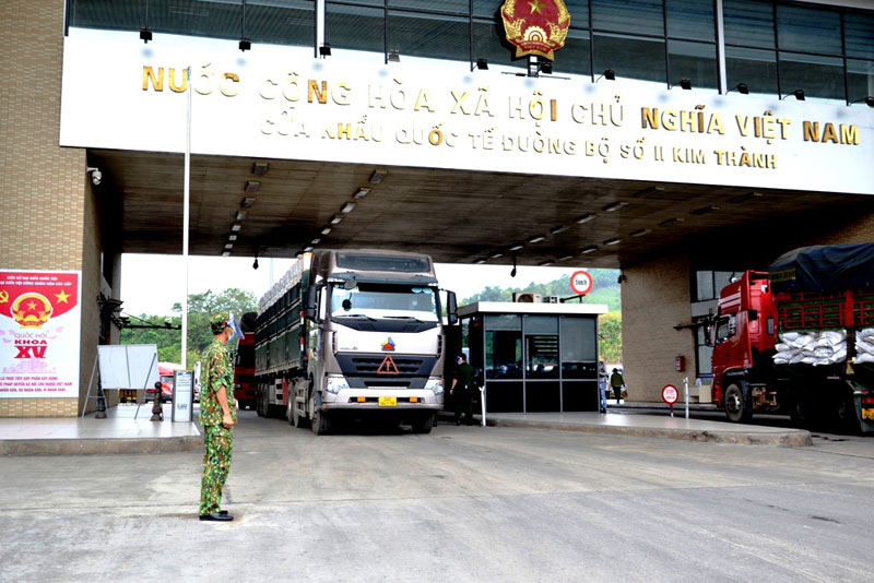 Mỗi ngày, hơn 500 tấn vải thiều Bắc Giang xuất khẩu qua cửa khẩu Lào Cai