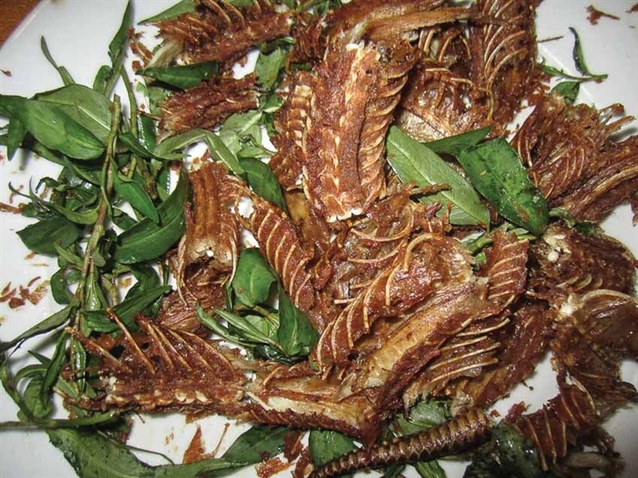 Về miền Tây thưởng thức món lẩu rắn hổ hành, ăn một lần là ghiền tới già