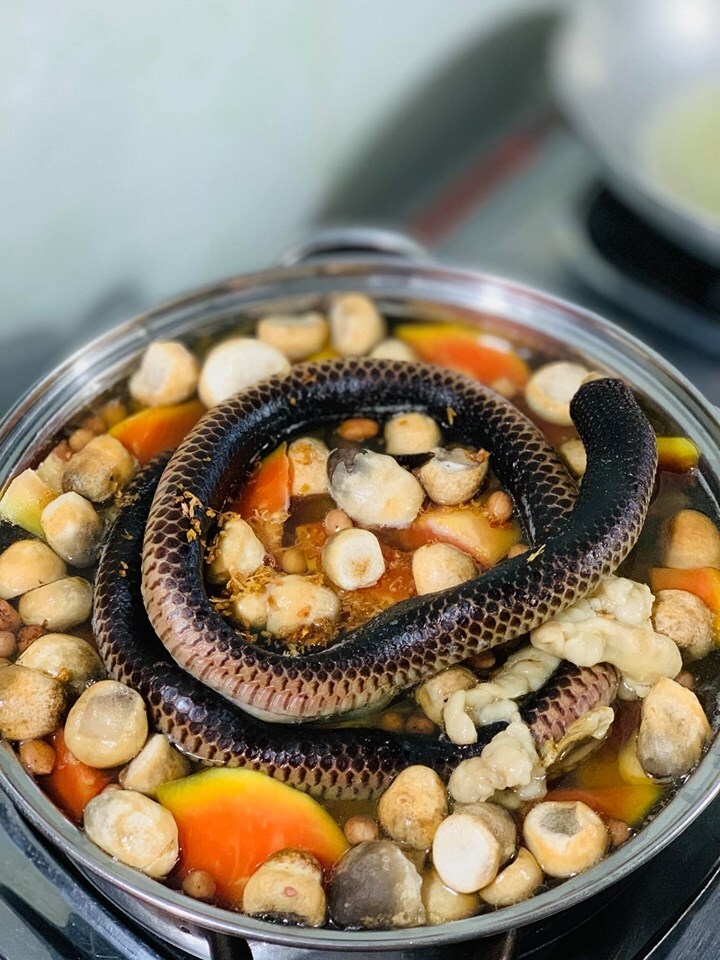 Về miền Tây thưởng thức món lẩu rắn hổ hành, ăn một lần là ghiền tới già