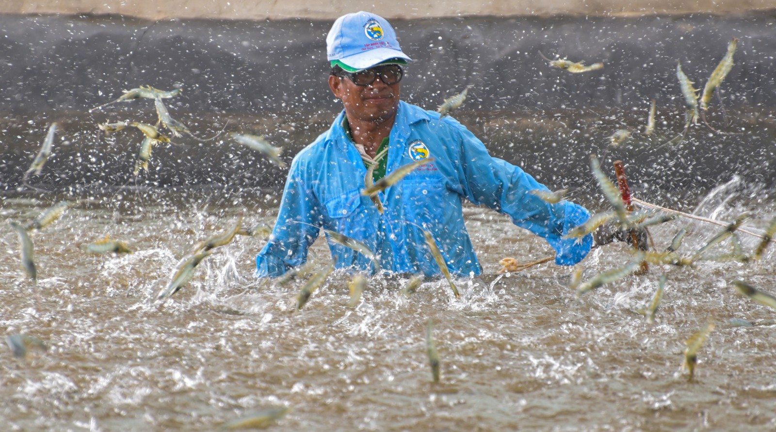 Hết "ngủ đông", Mỹ, EU mở cửa nhiều hoạt động, một loại nông sản của Việt Nam hưởng lợi lớn chưa từng có