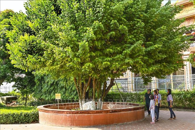 110 năm Ngày Bác Hồ tìm đường cứu nước: Trường Dục Thanh nhớ Bác