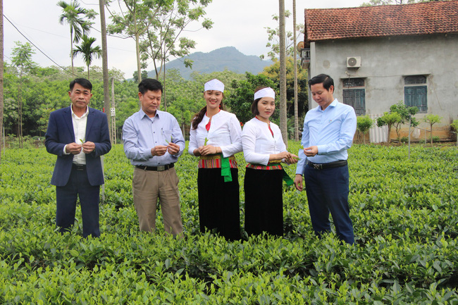 Sản xuất sạch, nông dân nâng thu nhập
