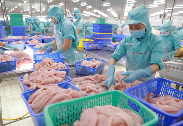 Giao thương khởi sắc, xuất khẩu cá tra của Việt Nam từng bước phục hồi