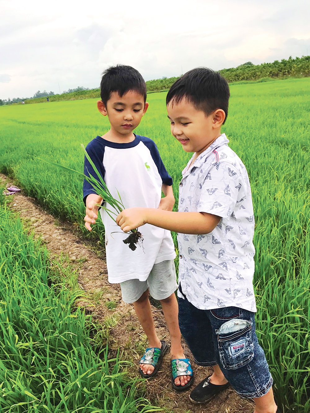 “Cho tôi một vé đi tuổi thơ”