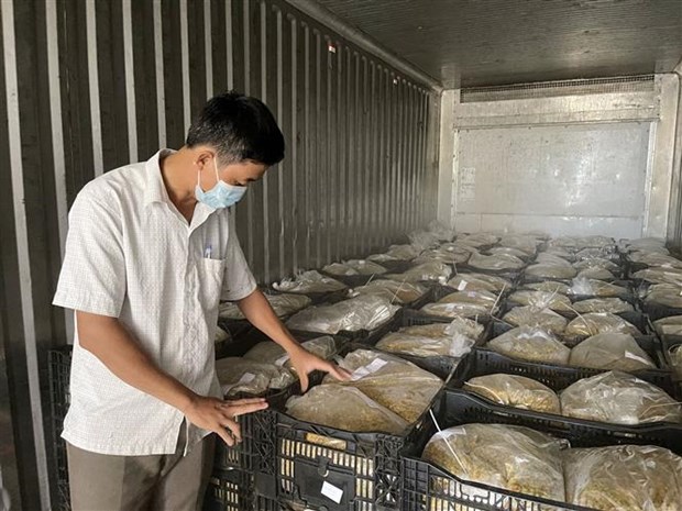 Quảng Trị: Vùng đất nóng trồng chanh leo để làm gì mà bán loại nhất giá 35.000-38.000 đồng/kg?