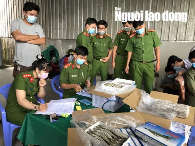 Cà Mau: Bắt tại trận hơn 12.500kg tôm bị gian thương bơm tạp chất