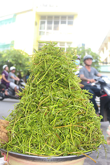 Rau choại món ngon khó quên