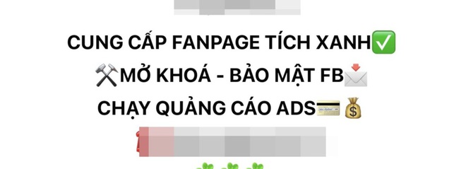 Bỏ hàng trăm triệu đồng làm "tích xanh" Facebook, nên hay không?