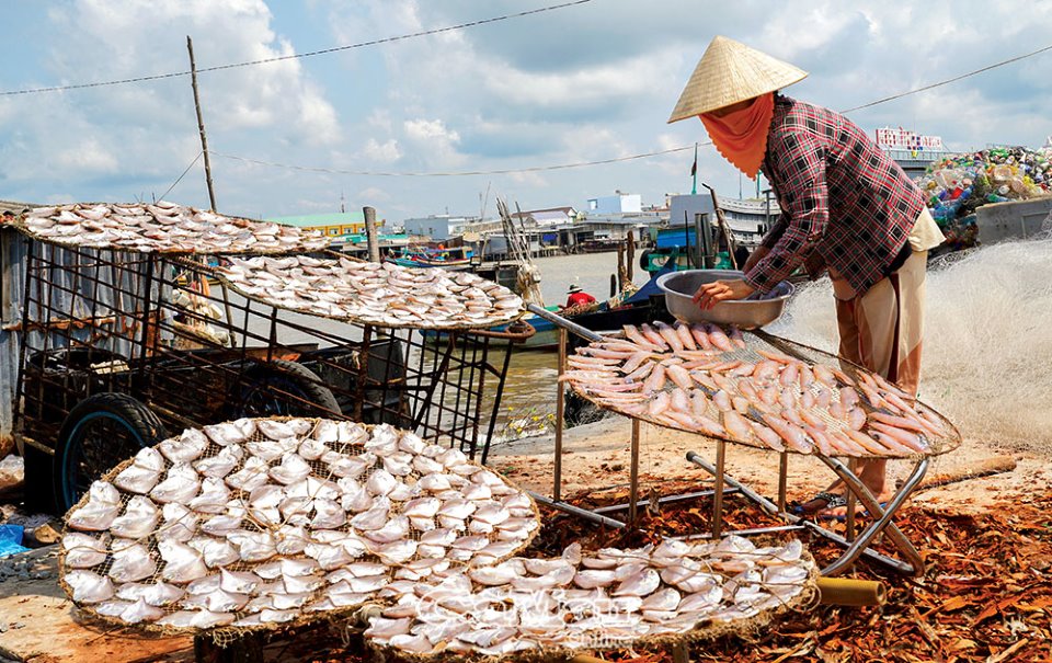 Khô biển Tân Ân