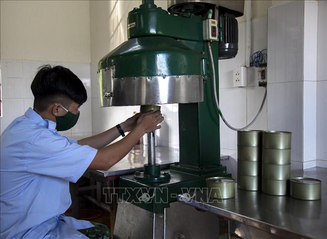 Mảng xanh trên vùng biển đảo Tây Nam của Tổ quốc