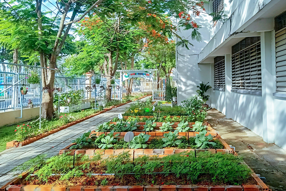 Trường Tiểu học Nguyễn Du ra mắt Công trình “Vườn trường em” năm học 2020- 2021