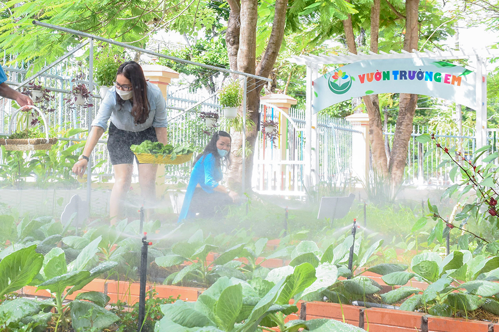 Trường Tiểu học Nguyễn Du ra mắt Công trình “Vườn trường em” năm học 2020- 2021