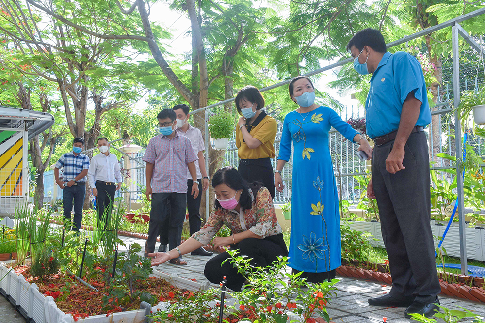 Trường Tiểu học Nguyễn Du ra mắt Công trình “Vườn trường em” năm học 2020- 2021