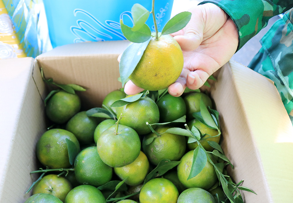 Hội Liên hiệp Phụ nữ tỉnh An Giang thăm, tặng quà lực lượng làm nhiệm vụ phòng, chống dịch bệnh COVID-19 trên sông Tiền