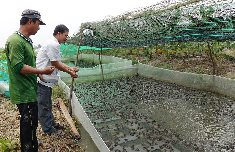 Yên Bình nhân rộng các mô hình nuôi trồng thủy sản